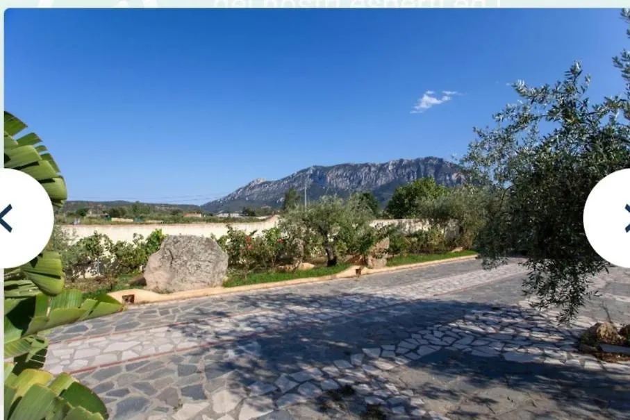 Σπίτι διακοπών Villa Su Navru Irgoli Ιταλία